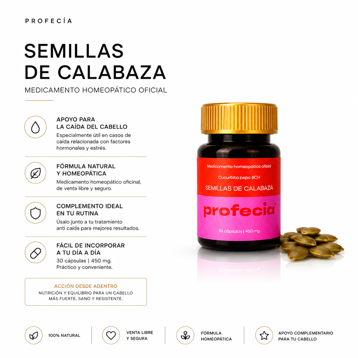 Kit Anticaída con Semillas Calabaza