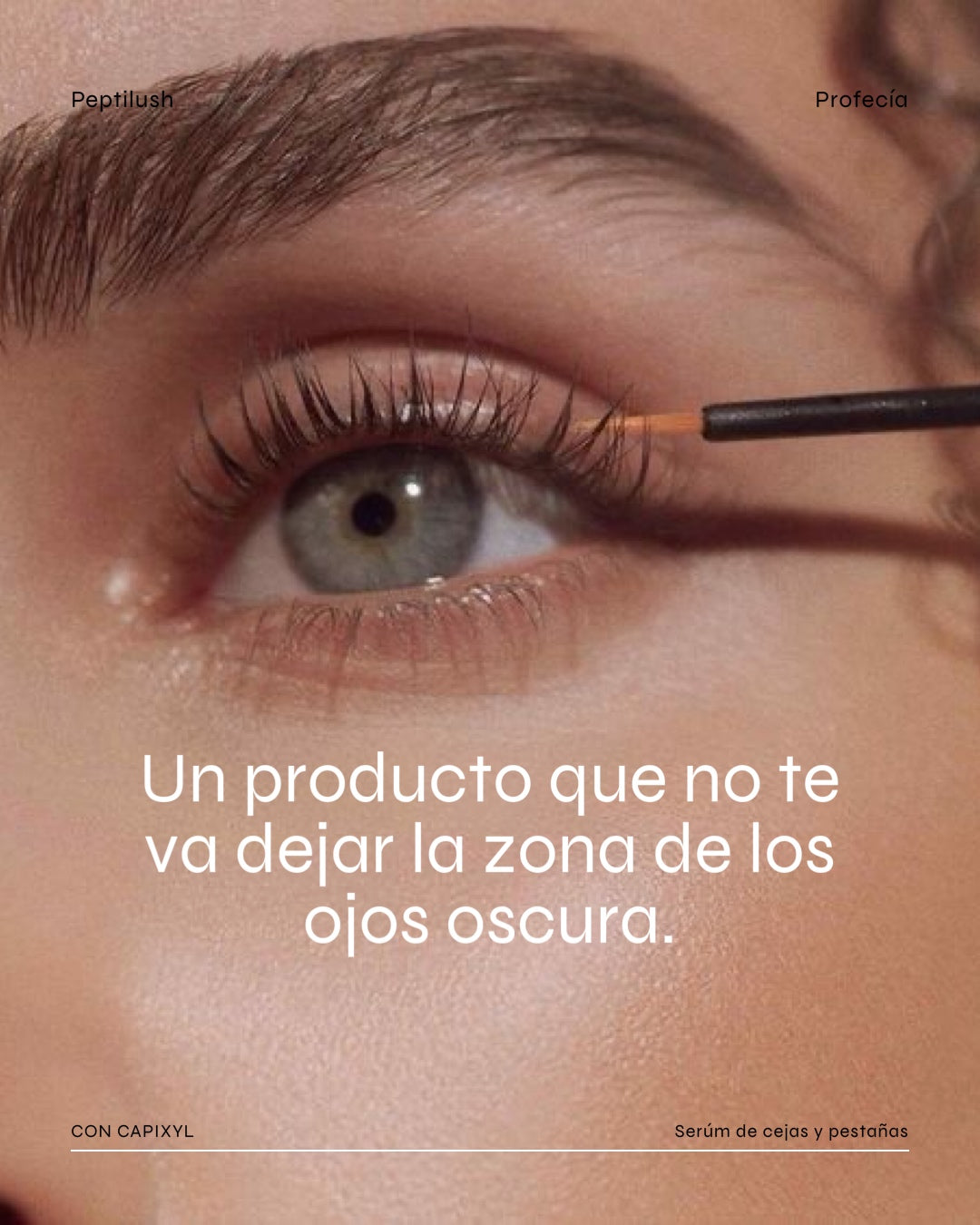 PEPTILUSH +BROW CEJAS Y PESTAÑAS (capyxil + biotech)